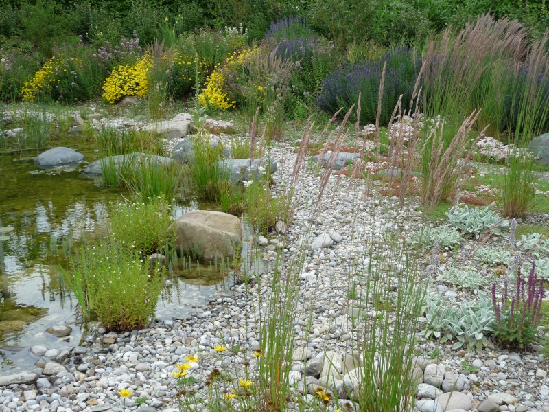 Ökosoziale-Projekte