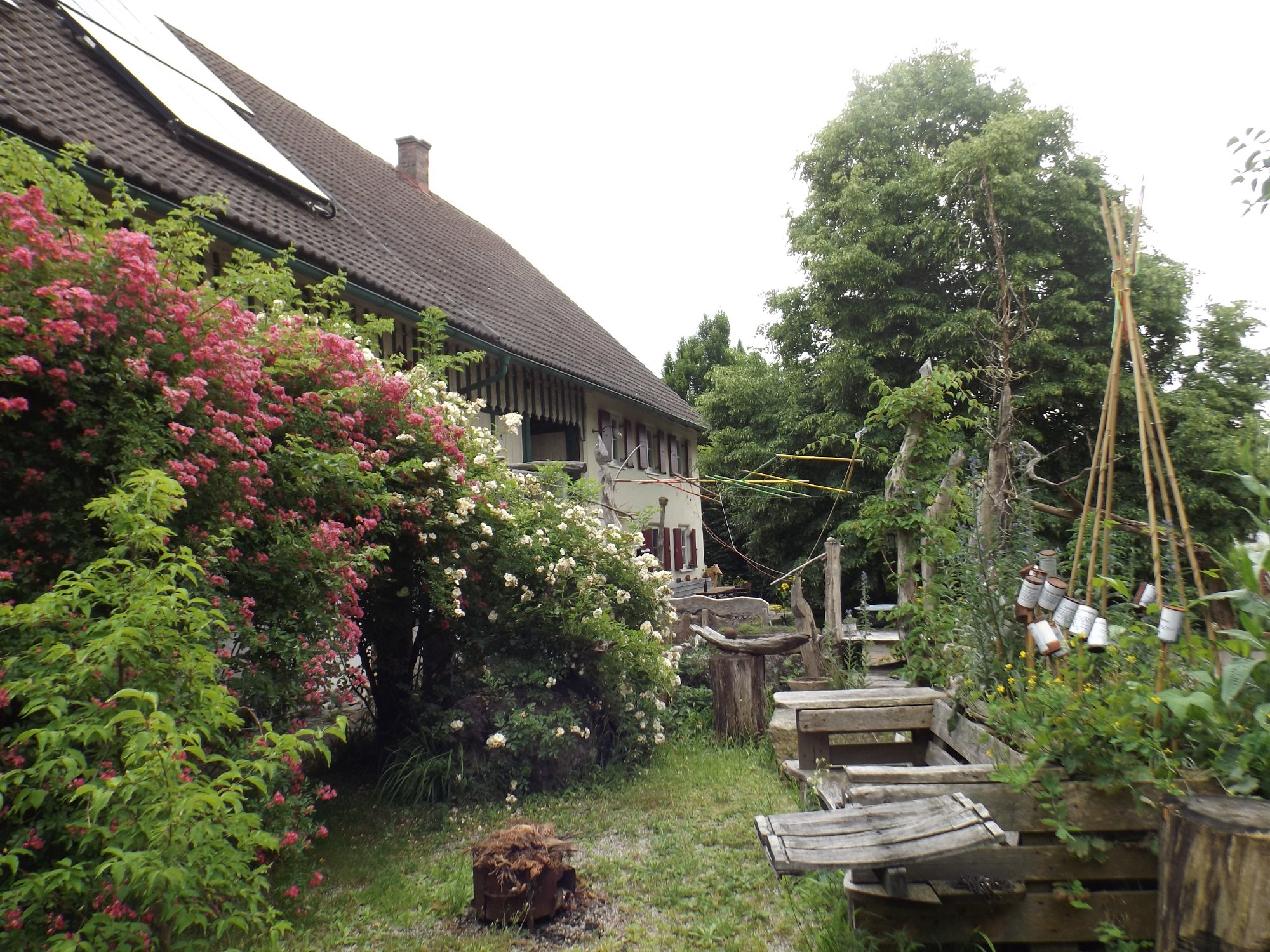 Natur im Privatgarten